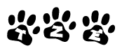 The image shows a series of animal paw prints arranged horizontally. Within each paw print, there's a letter; together they spell Tze