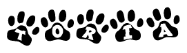 The image shows a series of animal paw prints arranged in a horizontal line. Each paw print contains a letter, and together they spell out the word Toria.