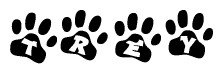 The image shows a series of animal paw prints arranged in a horizontal line. Each paw print contains a letter, and together they spell out the word Trey.