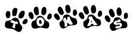 The image shows a row of animal paw prints, each containing a letter. The letters spell out the word Tomas within the paw prints.