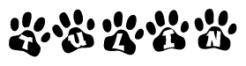 The image shows a series of animal paw prints arranged horizontally. Within each paw print, there's a letter; together they spell Tulin