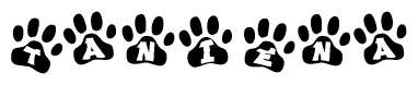 The image shows a row of animal paw prints, each containing a letter. The letters spell out the word Taniena within the paw prints.