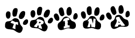 The image shows a row of animal paw prints, each containing a letter. The letters spell out the word Trina within the paw prints.