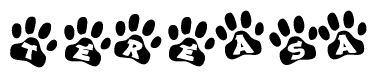 The image shows a series of animal paw prints arranged in a horizontal line. Each paw print contains a letter, and together they spell out the word Tereasa.