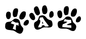 The image shows a series of animal paw prints arranged horizontally. Within each paw print, there's a letter; together they spell Taz