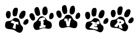 The image shows a series of animal paw prints arranged in a horizontal line. Each paw print contains a letter, and together they spell out the word Tiver.