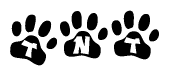 The image shows a series of animal paw prints arranged in a horizontal line. Each paw print contains a letter, and together they spell out the word Tnt.