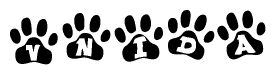 The image shows a series of animal paw prints arranged in a horizontal line. Each paw print contains a letter, and together they spell out the word Vnida.