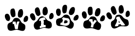 The image shows a series of animal paw prints arranged in a horizontal line. Each paw print contains a letter, and together they spell out the word Vidya.