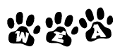 The image shows a row of animal paw prints, each containing a letter. The letters spell out the word Wea within the paw prints.