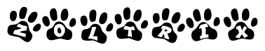 The image shows a series of animal paw prints arranged horizontally. Within each paw print, there's a letter; together they spell Zoltrix