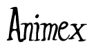 The image contains the word 'Animex' written in a cursive, stylized font.