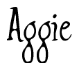 The image contains the word 'Aggie' written in a cursive, stylized font.
