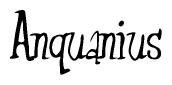 Cursive 'Anquanius' Text