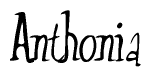 The image contains the word 'Anthonia' written in a cursive, stylized font.