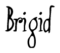 The image is a stylized text or script that reads 'Brigid' in a cursive or calligraphic font.