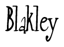   The image is of the word Blakley stylized in a cursive script. 