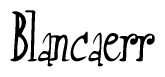 The image contains the word 'Blancaerr' written in a cursive, stylized font.