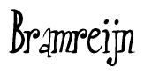 The image contains the word 'Bramreijn' written in a cursive, stylized font.
