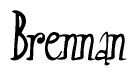 The image contains the word 'Brennan' written in a cursive, stylized font.
