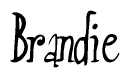 The image is a stylized text or script that reads 'Brandie' in a cursive or calligraphic font.