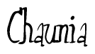 The image is of the word Chaunia stylized in a cursive script.