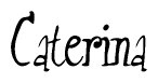   The image is of the word Caterina stylized in a cursive script. 