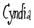 The image is of the word Cyndia stylized in a cursive script.