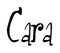 The image is of the word Cara stylized in a cursive script.