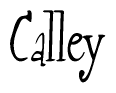 The image contains the word 'Calley' written in a cursive, stylized font.