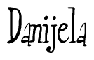 The image is of the word Danijela stylized in a cursive script.