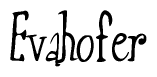 The image is of the word Evahofer stylized in a cursive script.