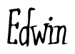 The image is of the word Edwin stylized in a cursive script.