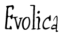 The image is of the word Evolica stylized in a cursive script.