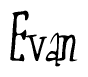 The image is of the word Evan stylized in a cursive script.