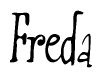The image is of the word Freda stylized in a cursive script.