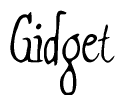 The image is of the word Gidget stylized in a cursive script.