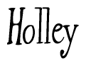 The image is a stylized text or script that reads 'Holley' in a cursive or calligraphic font.