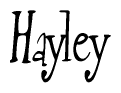 The image contains the word 'Hayley' written in a cursive, stylized font.