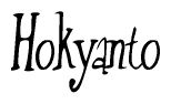 The image contains the word 'Hokyanto' written in a cursive, stylized font.