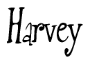 The image contains the word 'Harvey' written in a cursive, stylized font.