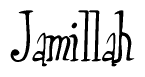 The image contains the word 'Jamillah' written in a cursive, stylized font.