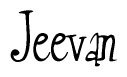 The image contains the word 'Jeevan' written in a cursive, stylized font.
