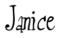 The image is of the word Janice stylized in a cursive script.