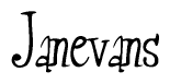 The image is of the word Janevans stylized in a cursive script.