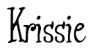 The image is of the word Krissie stylized in a cursive script.