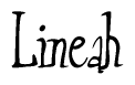 The image is a stylized text or script that reads 'Lineah' in a cursive or calligraphic font.