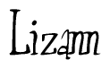The image is of the word Lizann stylized in a cursive script.