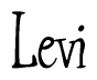 The image is a stylized text or script that reads 'Levi' in a cursive or calligraphic font.