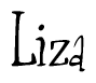 The image is of the word Liza stylized in a cursive script.